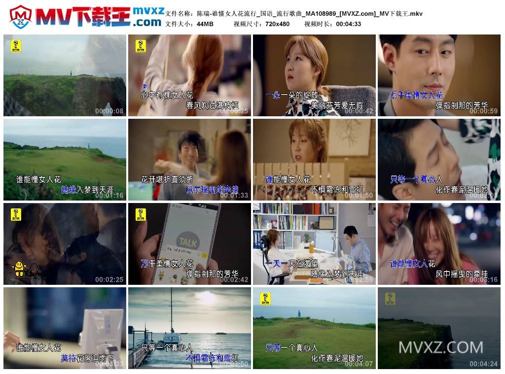 陈瑞-谁懂女人花流行_国语_流行歌曲_MA108989